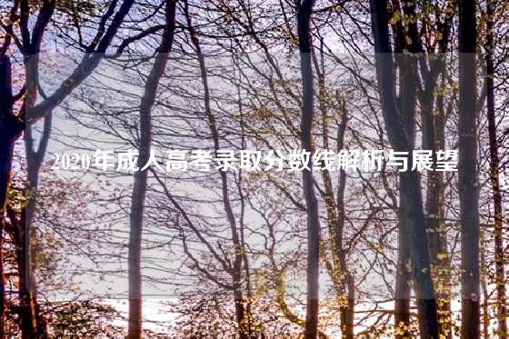 2020年成人高考录取分数线解析与展望