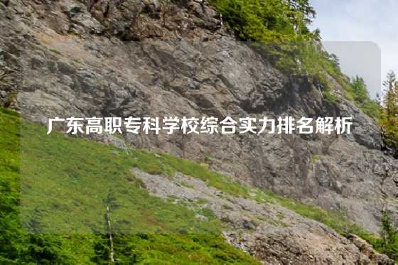 广东高职专科学校综合实力排名解析