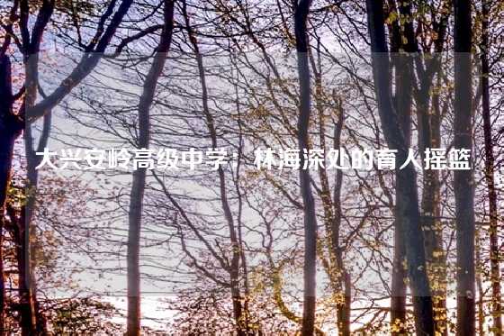 大兴安岭高级中学：林海深处的育人摇篮