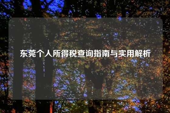 东莞个人所得税查询指南与实用解析