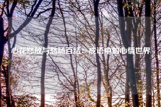 心花怒放与愁肠百结:成语中的心情世界