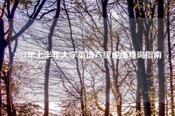 2021年上半年大学英语六级成绩查询指南