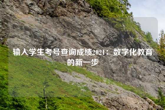 输入学生考号查询成绩2021：数字化教育的新一步