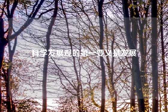 科学发展观的第一要义是发展