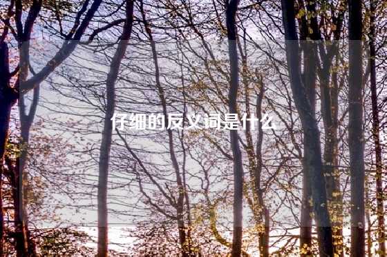 仔细的反义词是什么