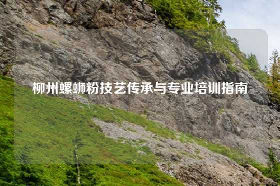 柳州螺蛳粉技艺传承与专业培训指南