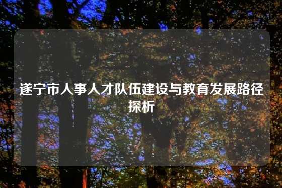 遂宁市人事人才队伍建设与教育发展路径探析