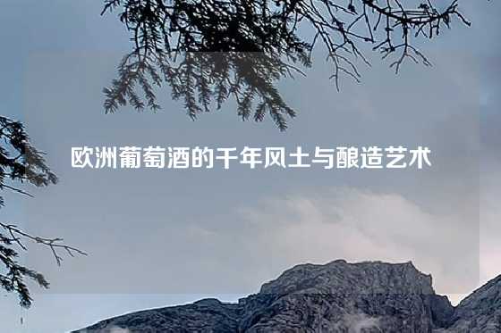 欧洲葡萄酒的千年风土与酿造艺术