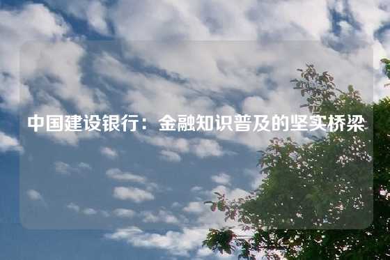 中国建设银行：金融知识普及的坚实桥梁